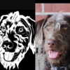 Calcomanía Personalizada para Auto con Foto de tu Mascota - Image 2