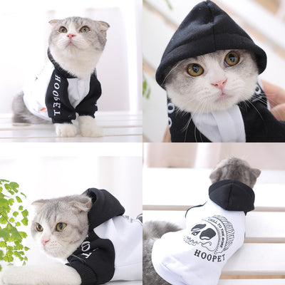 Ropa de Abrigo para Cachorros - Colección Otoño Invierno - Image 2