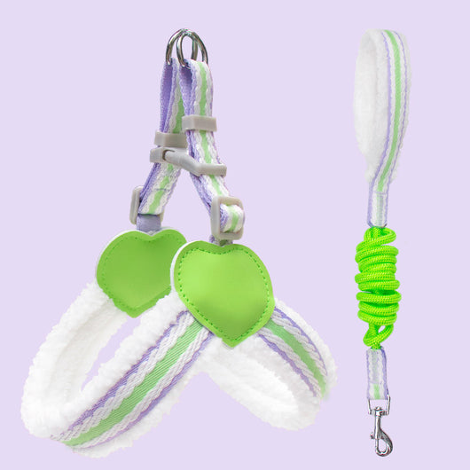 Arnés Respirador para Perros Pequeños y Medianos - Chaleco Cómodo para Paseos de Verano - Image 11