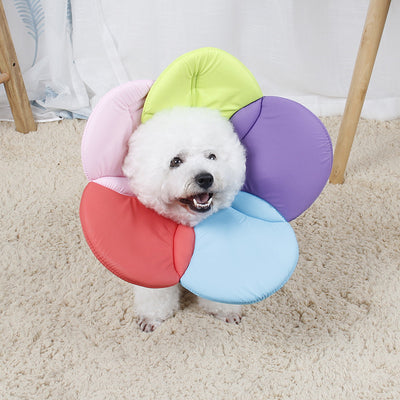 Protector Antirraspuños para Mascotas con Diseño Floral