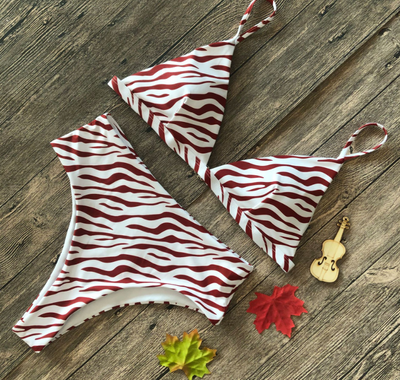 Bikini de Cintura Alta Estampado Leopardo y Serpiente - Diseño Explosivo y Sensual - Image 8