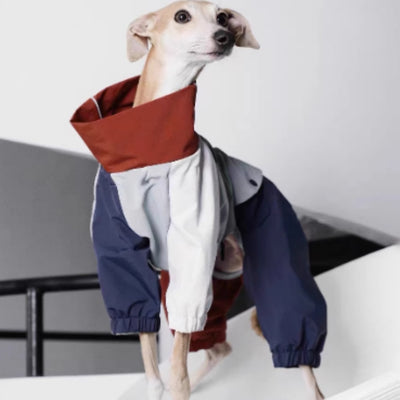 Chaqueta Impermeable para Perros Medianos - Protección Total Exterior