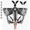 Capa Halloween con Mariposas Giratorias - Decoración Mágica