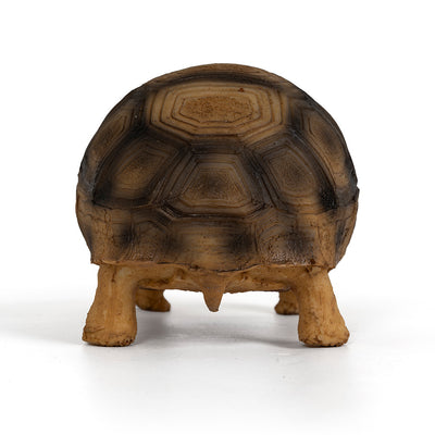 Adorno de Resina para Tortugas Brasileñas - Hábitat Acuático Realista - Image 11