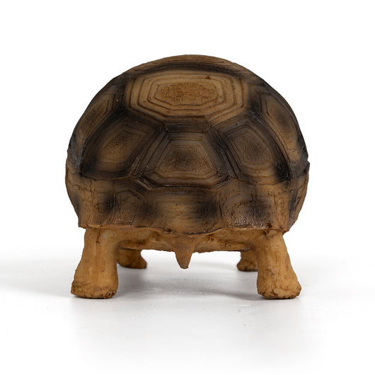 Adorno de Resina para Tortugas Brasileñas - Hábitat Acuático Realista - Image 11