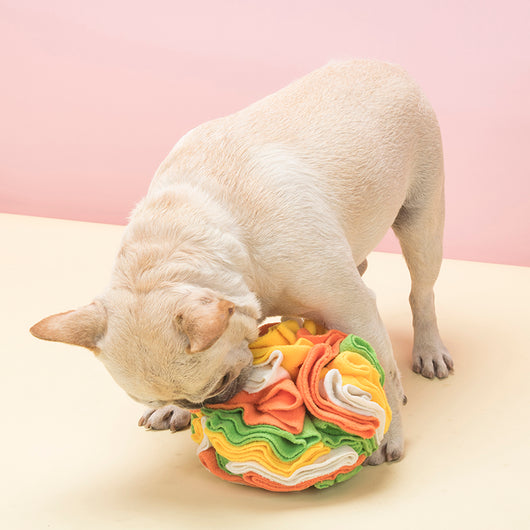 Pelota Interactiva Snuffle para Perros - Juguete Puzzle de Enriquecimiento Mental - Image 18