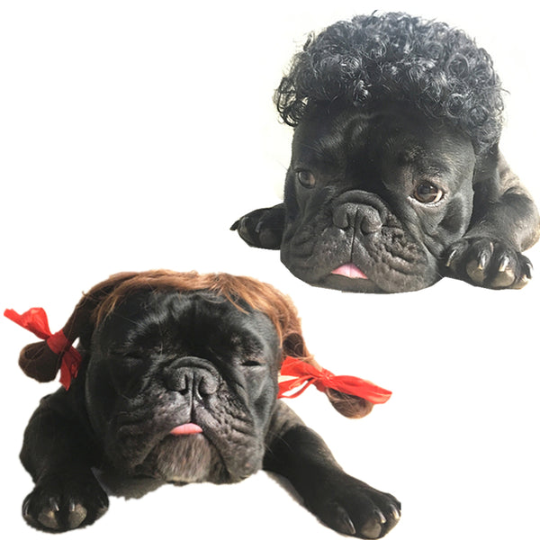 Peluca Transformadora para Mascotas - Perros y Gatos