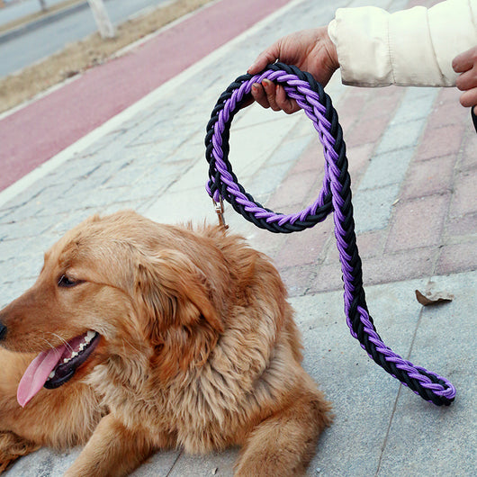 Correa Resistente para Perros Grandes con Cadena de Seguridad - Image 6