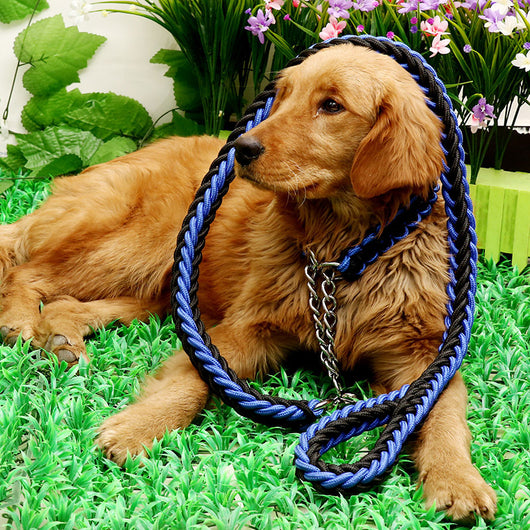 Correa Resistente para Perros Grandes con Cadena de Seguridad - Image 7