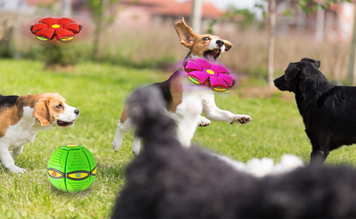 Pelota Voladora UFO con 6 Luces LED para Perros y Niños - Image 22
