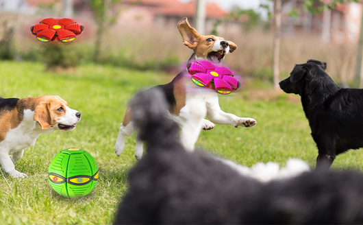 Pelota Voladora UFO con 6 Luces LED para Perros y Niños - Image 22