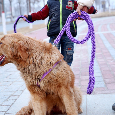 Correa Resistente para Perros Grandes con Cadena de Seguridad - Image 12