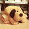 E Blanket 1 x 1.7 - M