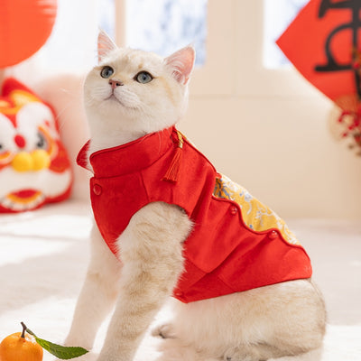 Chaleco Tang Tradicional con Estampado de Flor de Cerezo para Mascotas Pequeñas - Abrigo Cálido para Otoño e Invierno - Image 12