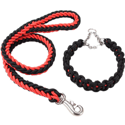 Collares y Correas para Perros de Nylon Reforzado - Entrenamiento y Paseos - Image 2