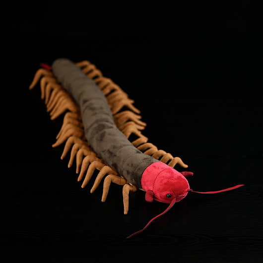 Peluches Suaves Para Todos - Image 14