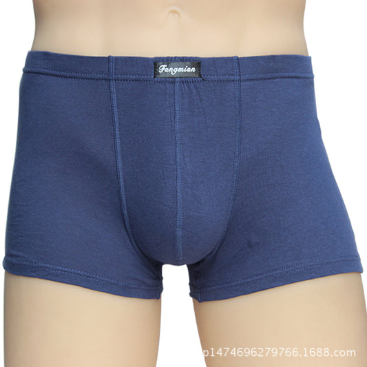 Pantalones Cortos de Algodón para Hombre - Image 2