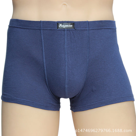 Pantalones Cortos de Algodón para Hombre - Image 2