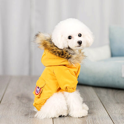 Ropa y Gorro de Lana para Perros - Abrigo de Algodón - Image 6