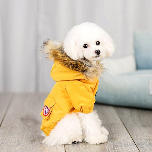 Ropa y Gorro de Lana para Perros - Abrigo de Algodón - Image 6