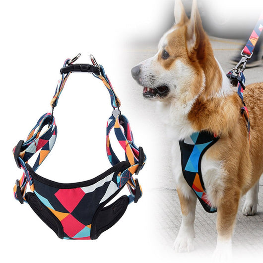 Arnés de pecho para perros con cuerda de tracción