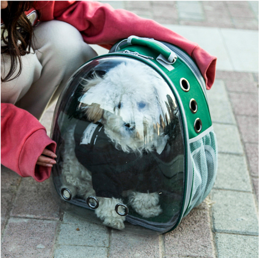 Mochila Transportadora de Gatos Cápsula Espacial Transparente - Image 2