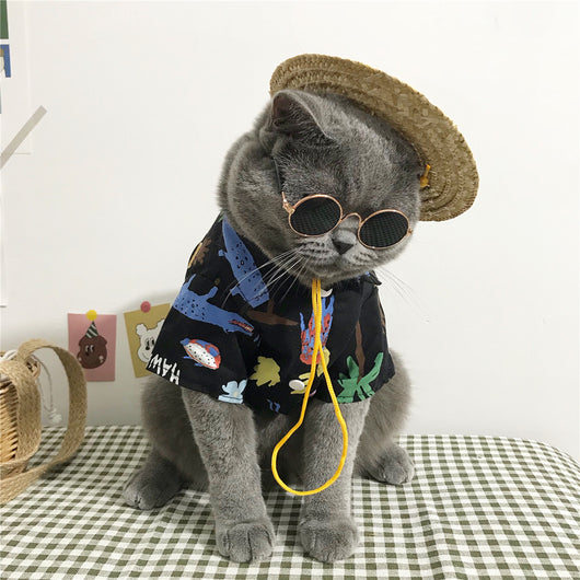 Ropa para Gatos - Diseño Cómodo y Elegante - Image 9
