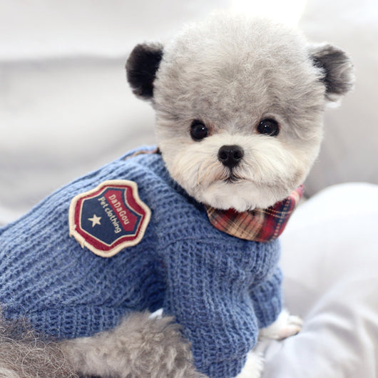 Suéter de Algodón Otoñal para Perros Two Seasons