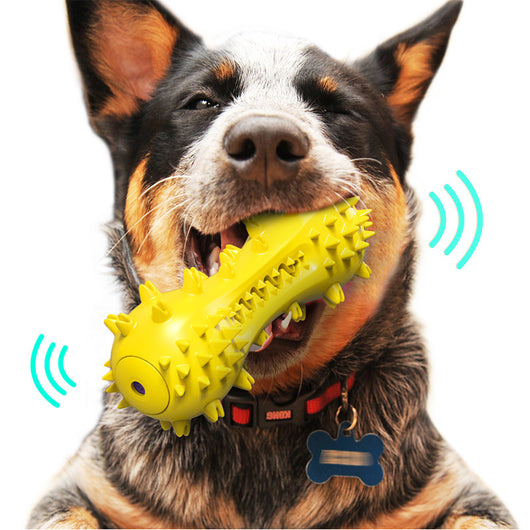 Juguete Interactivo Dental para Perros con Sonido - Image 3