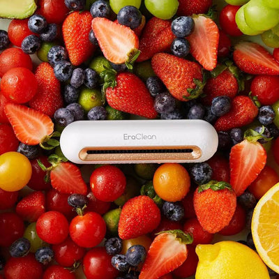 Desodorizador y Purificador de Refrigerador con Ozono