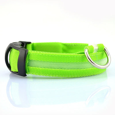 Collar de Seguridad LED para Mascotas - Image 4