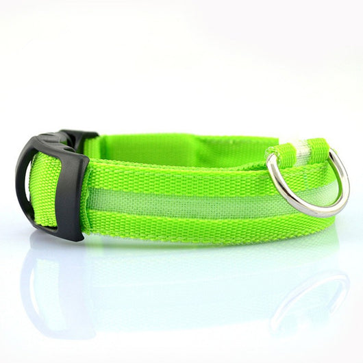 Collar de Seguridad LED para Mascotas - Image 4