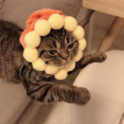 Gorro Cálido Disfraz Mascota Perro Gato - Accesorios Fotográficos - Image 5