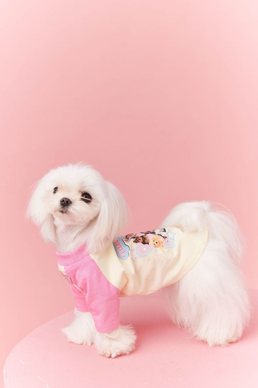 Ropa de Verano para Perros con Contraste de Colores - Image 10