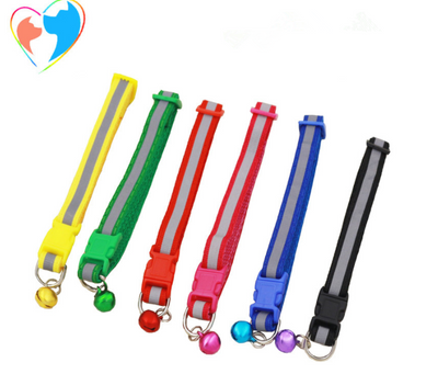Collar Fluorescente para Perros - Image 4