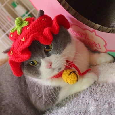Gorro Tejido para Mascotas - Sombrero Divertido para Gatos y Perros - Image 20