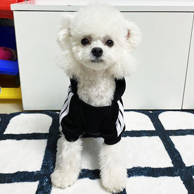 Ropa de Abrigo para Perros - Diseños Adorables Otoño e Invierno - Image 4