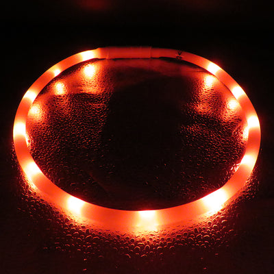 Collar Luminoso Antiextravío para Perros Grandes - Seguridad Visible - Image 3