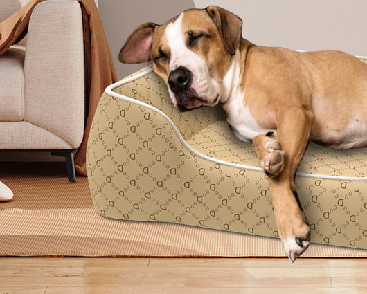 Cama Impermeable para Perros Pequeños - Resistente a Mordidas, Lavable y Para Todas las Estaciones - Image 15