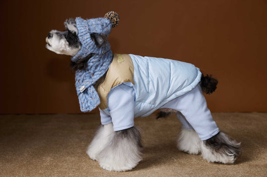 Chaleco Acolchado de Invierno para Perros Pequeños - Teddy, Schnauzer, Bichón - Image 14