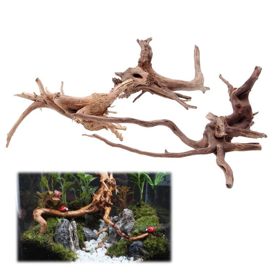 Raíz de Árbol Sumergida para Acuario - Decoración Natural de Madera - Image 6