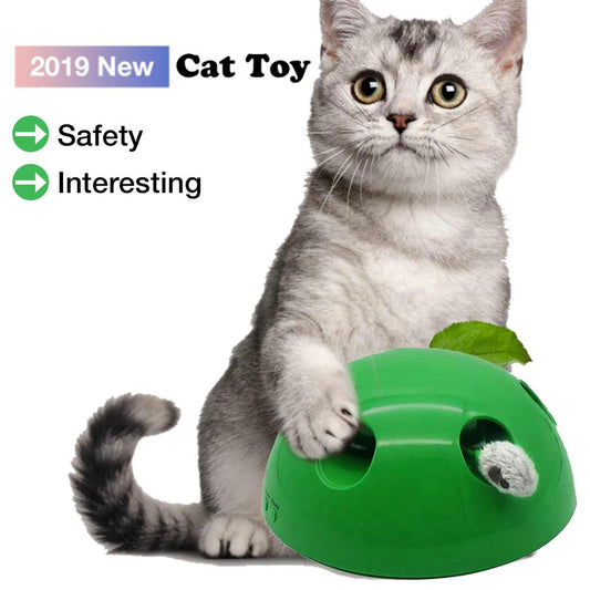 A cute tabby and white kitten with green eyes playing with a bright green dome-shaped interactive cat toy.