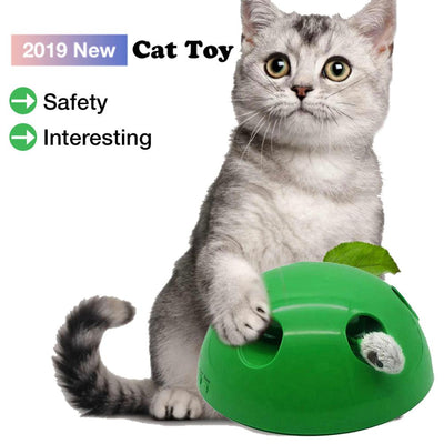 A cute tabby and white kitten with green eyes playing with a bright green dome-shaped interactive cat toy.