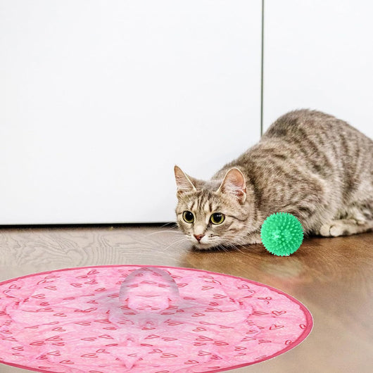 Pink round electronic cat toy with power symbol and a circular cat play mat with cartoon animals and pink border. - Image 3