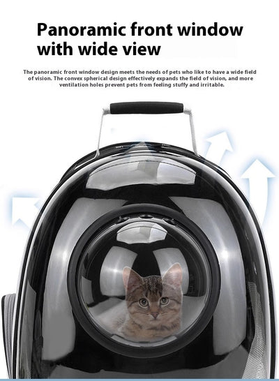 Mochila Transparente para Gatos con Cúpula Panorámica y Gran Capacidad - Image 23