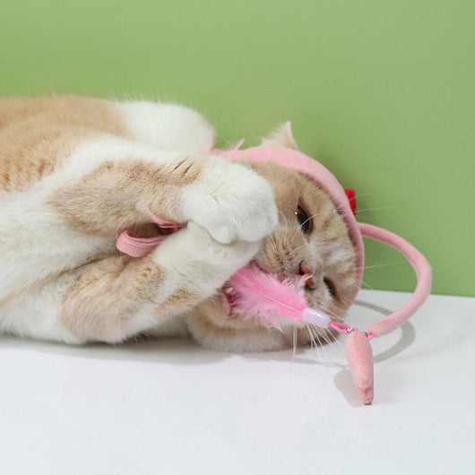 Juguete Interactivo para Gatos con Pluma y Varita - Gato de Ojos Grandes - Image 9