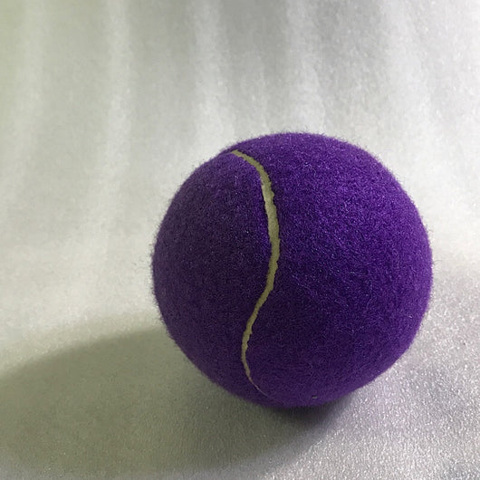 Pelota de Tenis Gigante para Perros Grandes - Image 27