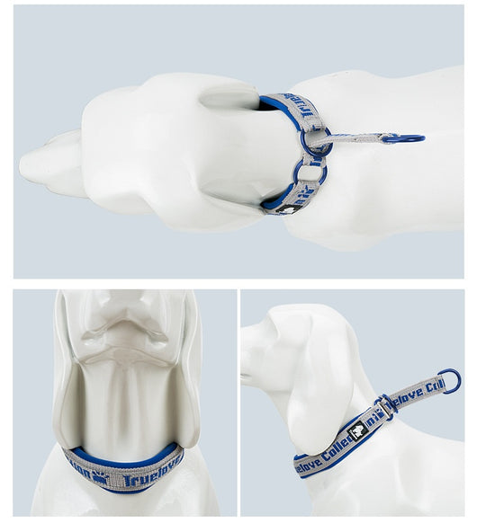 Collar Ajustable para Perro Truelove con Tela de Buceo Reflectante - Image 35