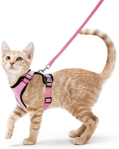Arnés Reflectante Transpirable para Gatos - Image 9