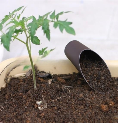 Pala Shovel para Plantas Suculentas y Macetas - Image 16